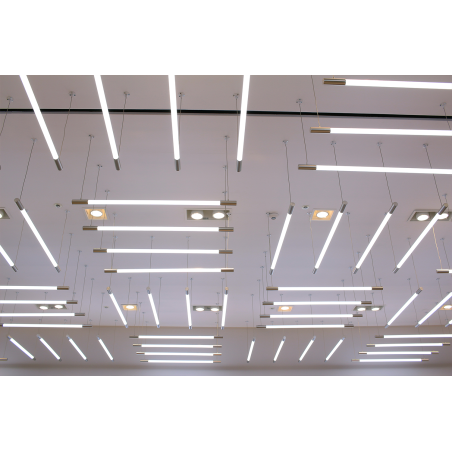 Cheville à bascule BE